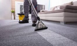 Professional Carpet Cleaning Service